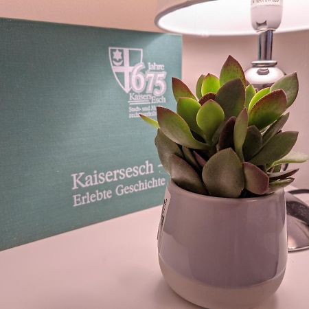 Ferienwohnung Am Waldweg Kaisersesch Zewnętrze zdjęcie