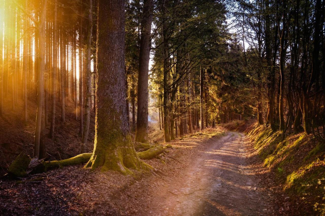 Ferienwohnung Am Waldweg Kaisersesch Zewnętrze zdjęcie