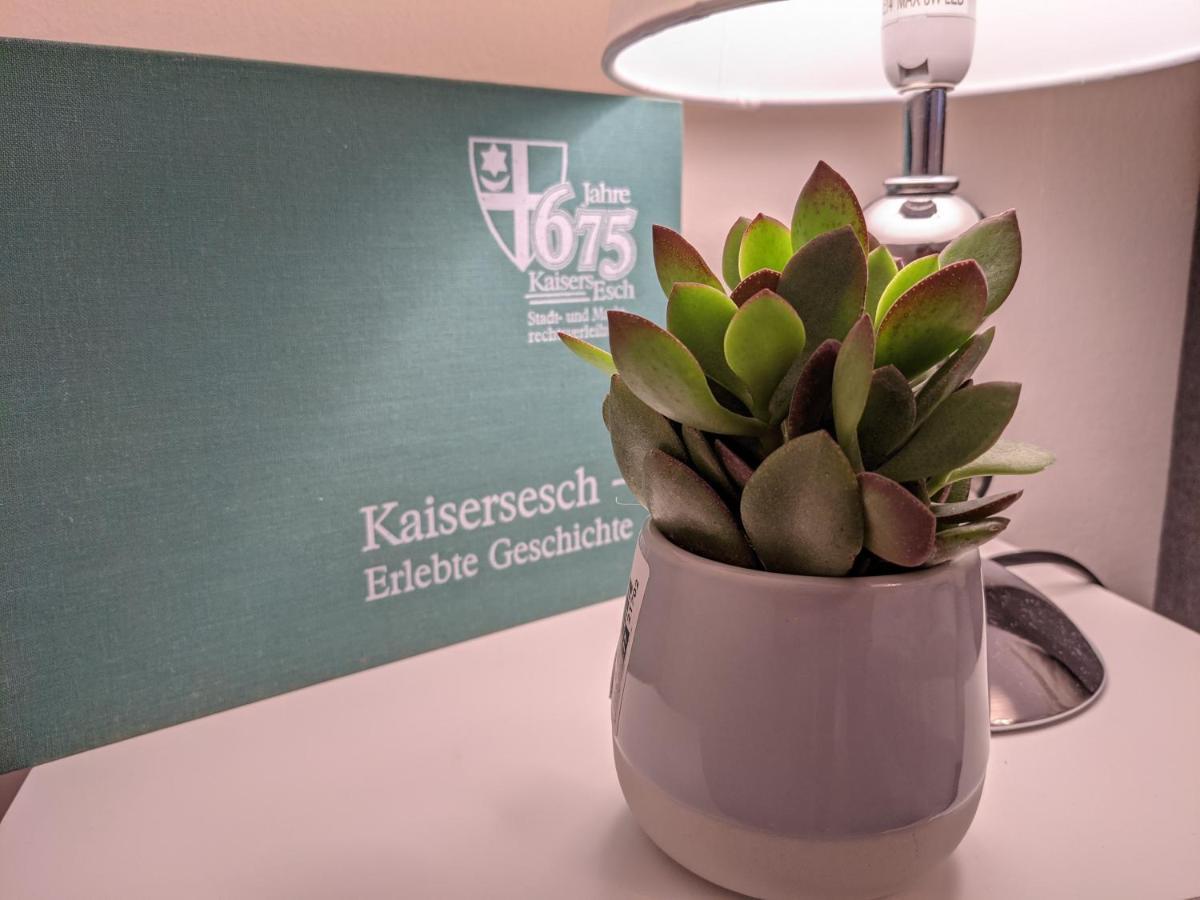Ferienwohnung Am Waldweg Kaisersesch Zewnętrze zdjęcie